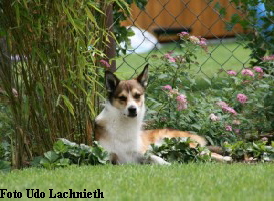 Olve 12.10.2008-19.01.2015