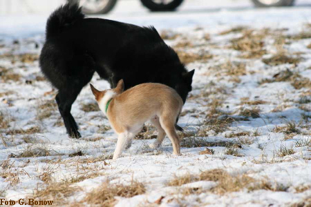 Anouk mit Finn