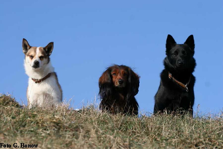 Sakari - Momo - Anouk