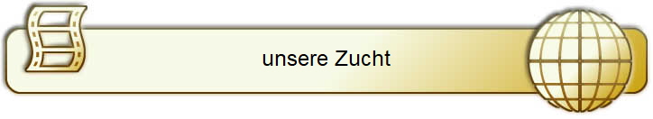 unsere Zucht
