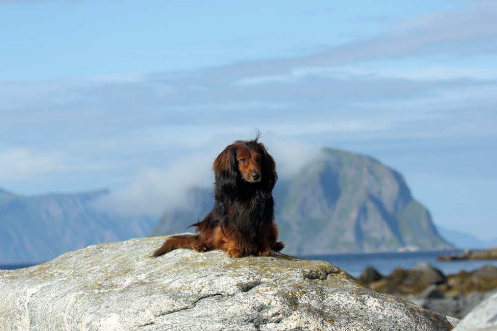 23 Momo IMG_5377